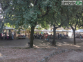 mercatino passeggiata debutto 19 luglio (12)