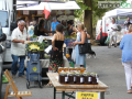 mercatino passeggiata debutto 19 luglio (13)