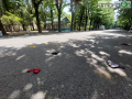 mercatino passeggiata debutto rifiuti (4)