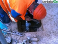 perugia locali cantine allagati (15)