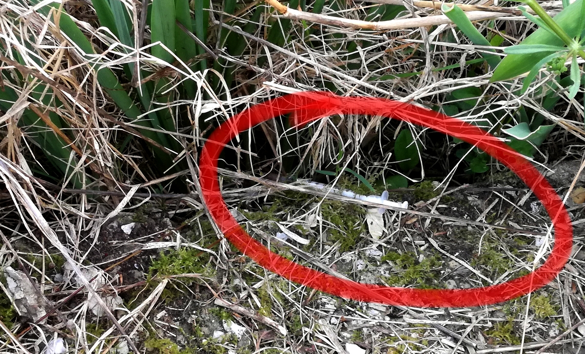 Perugia droga dietro la stazione Fontivegge