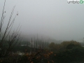 Perugia nebbia (14)