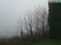 Perugia nebbia (16)