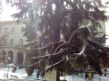 perugia neve 26 febbraio 2018 (6)