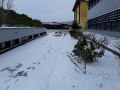 perugia neve 26 febbraio 2018 (social) (16)