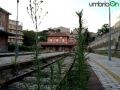 perugia, fcu, pallotta, sant'anna, binari