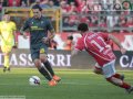 Perugia-Ternana-10-novembre-2024-foto-Mirimao-6