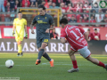 Perugia-Ternana-del-10-novembre-2024-foto-A.-Mirimao-15