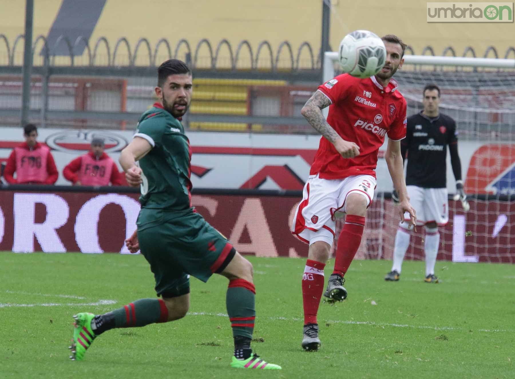 Perugia - Ternana Foto A (15)