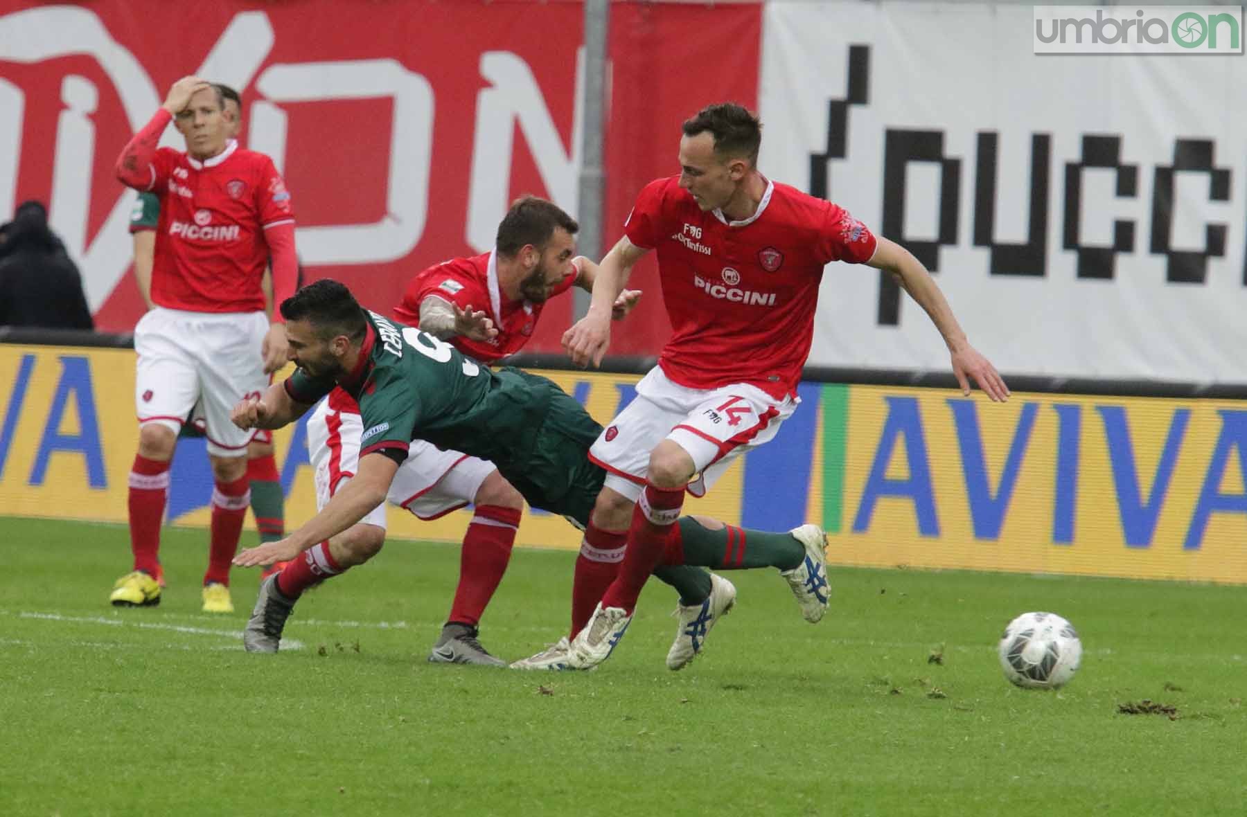 Perugia - Ternana Foto A (21)