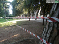 abbattimento alberi albero Lungonera Terni giardini 25 aprile (FILEminimizer)