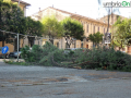 abbattimento alberi albero Lungonera Terni124 (FILEminimizer)