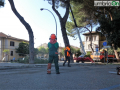 abbattimento alberi albero Lungonera Terni676767 (FILEminimizer)