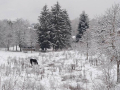 neve norcia paolo millefiorini 2