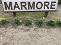 Marmore, pulizie Pro Loco - marzo 2021 (11)