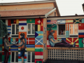Ritorno-alle-origini-murales-direzione-didattica-San-Giovanni-Terni-settembre-2021-14