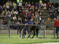 Rivincita Corsa all'Anello Narni - 23 giugno 2018 (foto Mirimao) (61)