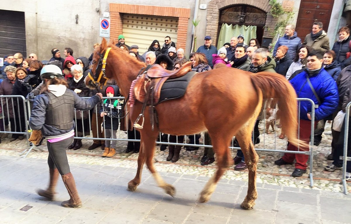 Festa Sant'Antonio Collescipoli - 17 gennaio 2016 (3)