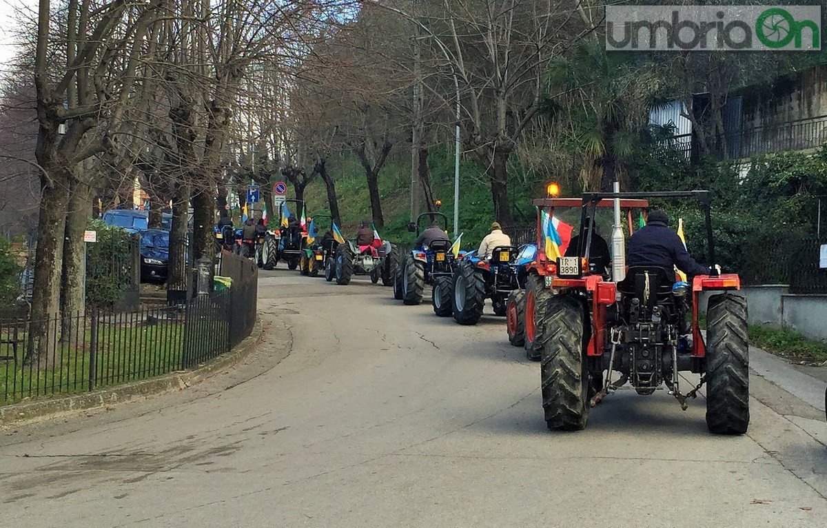 Sant'Antonio Abate a Collescipoli, festa del Ringraziamento - 17 gennaio 2016 (14)