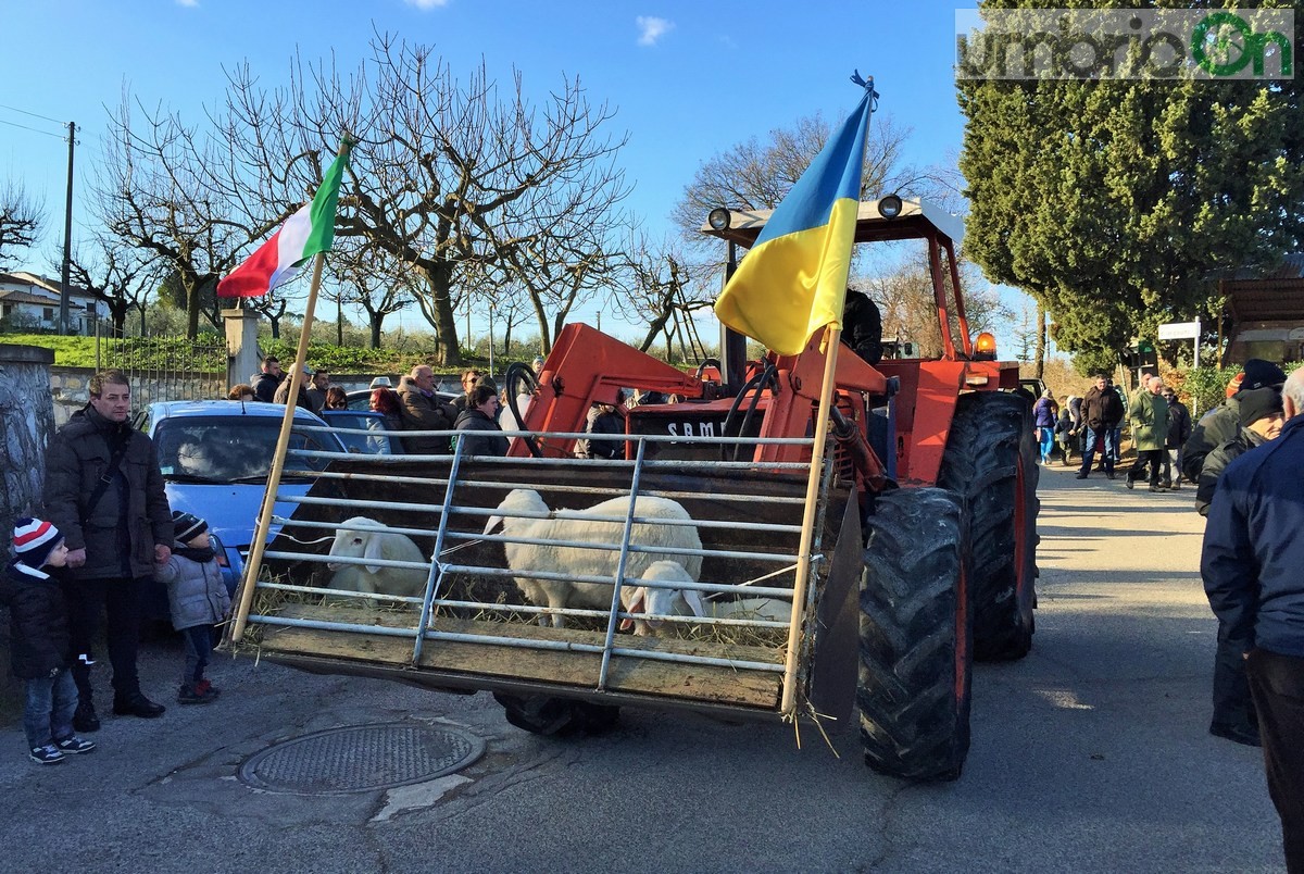 Sant'Antonio Abate a Collescipoli, festa del Ringraziamento - 17 gennaio 2016 (2)