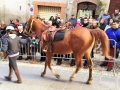 Festa Sant'Antonio Collescipoli - 17 gennaio 2016 (3)