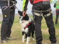sasu 16 cane