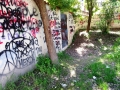 Terni scritte muri (62)
