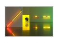 85. Vienna 2012, Mumok, Dan Flavin  Coppi