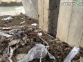 Droga siringhe spaccio ponte Carrara, Terni - 16 febbraio 2018 (5)