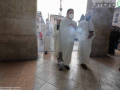 mini-IMG_9880- Ph A.Mirimao