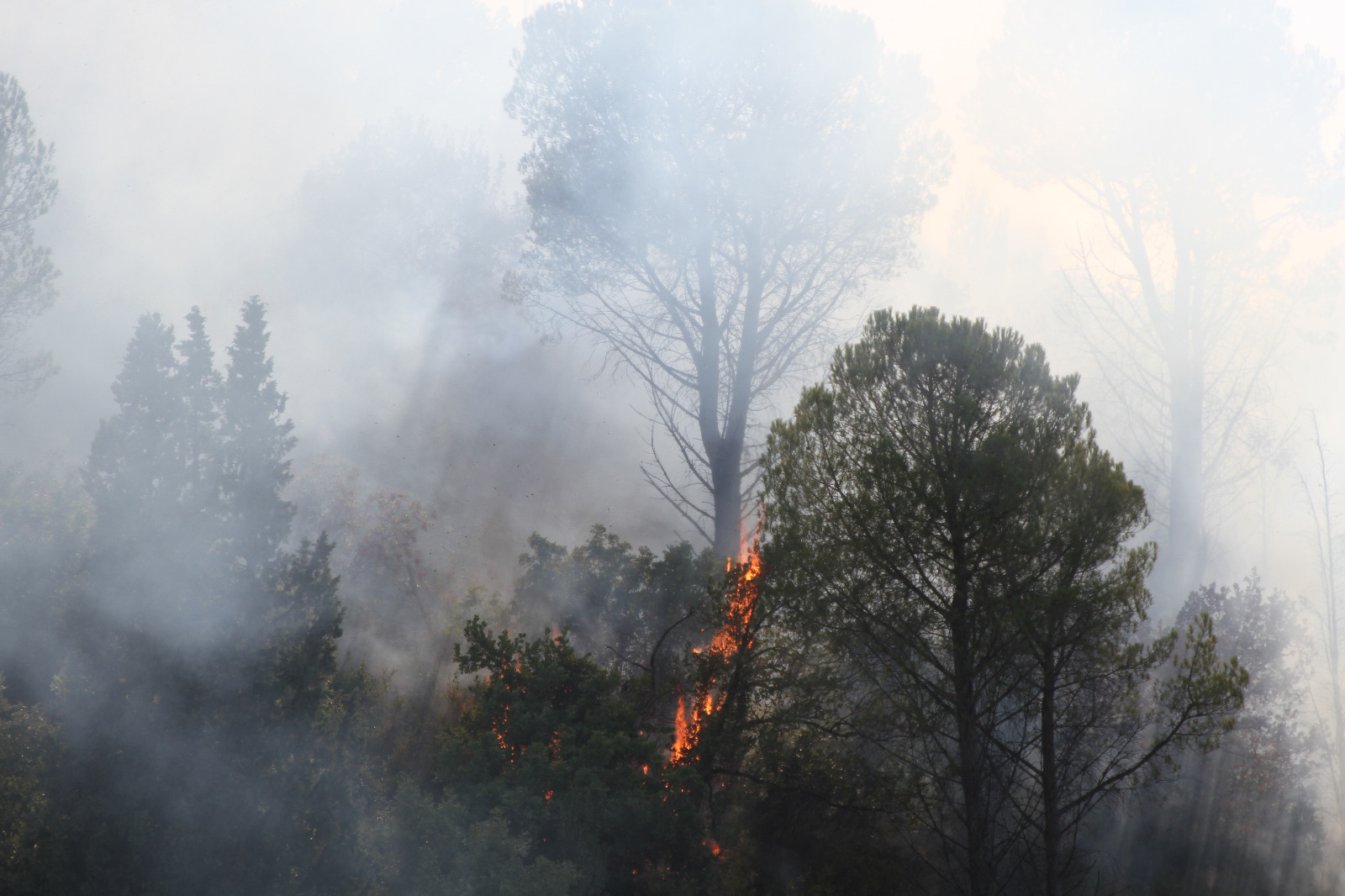 Incendio-Papigno-Spaccino-s