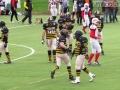 steelers grifoni football08