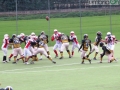 steelers grifoni football13