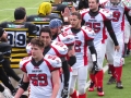 steelers grifoni football37