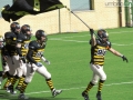 steelers grifoni football38