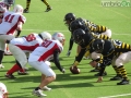 steelers grifoni football52