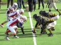 steelers grifoni football54