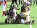 steelers grifoni football56