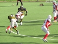 steelers grifoni football64