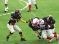 steelers grifoni football72