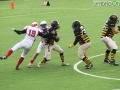 steelers grifoni football95