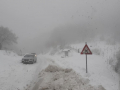 Nevicata-Polino-collebertone