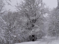 POLINO-COLLEBERTONE-NEVICATA-NEVE