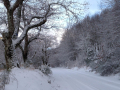 Prati-Stroncone-neve-gennaio-2021sds