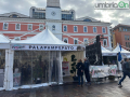 Sweet-pampepato45454-2