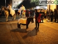 Sbandieratori-Amelia-Foto-A.Mirimao-copy
