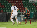 Ternana Albinoleffe coppa IMG_1831-foto A.Mirimao