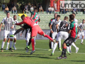 Ternana Ascoli _9562- A.Mirimao