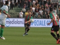 ternana avellino_4221- A.Mirimao