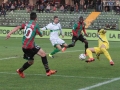 ternana avellino_4388- A.Mirimao